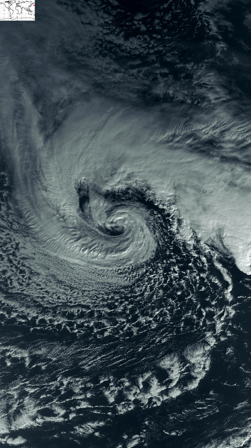 Clouds and precipitation in extratropical cyclones