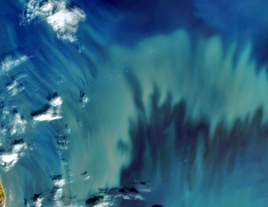 Phytoplankton in the North Sea