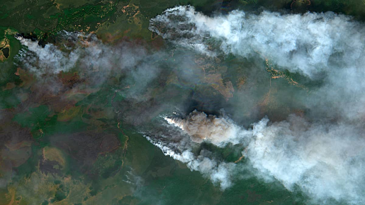 Landscape fires in Western Siberia