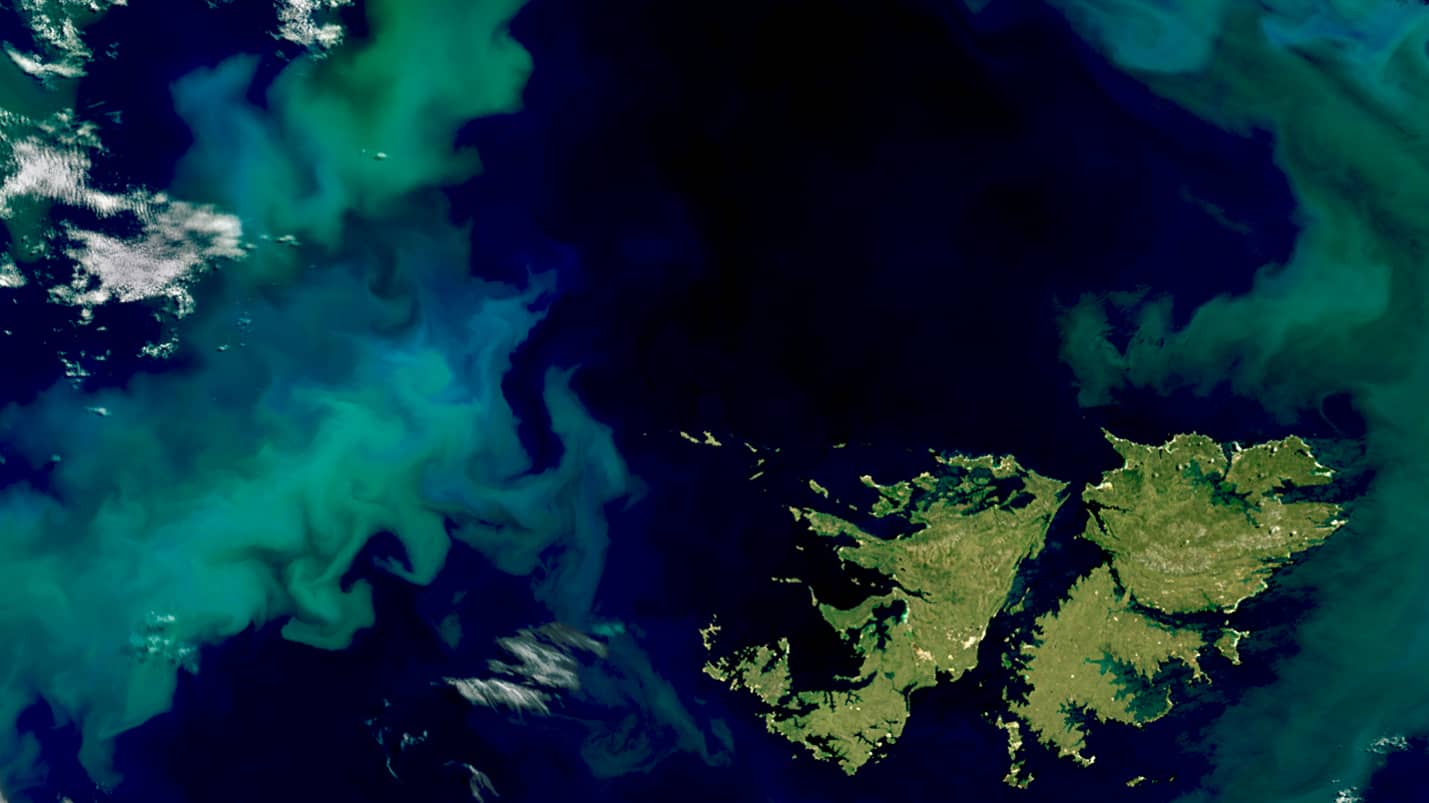 Phytoplankton blooms around the Falkland Islands
