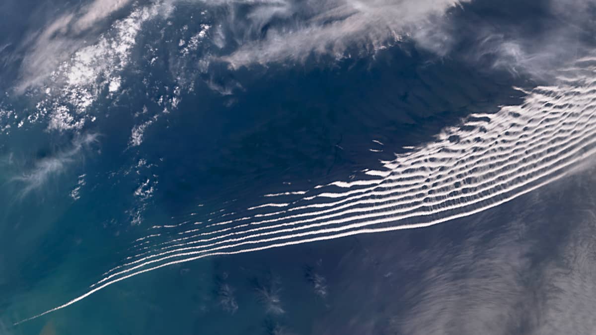 Gravity Wave