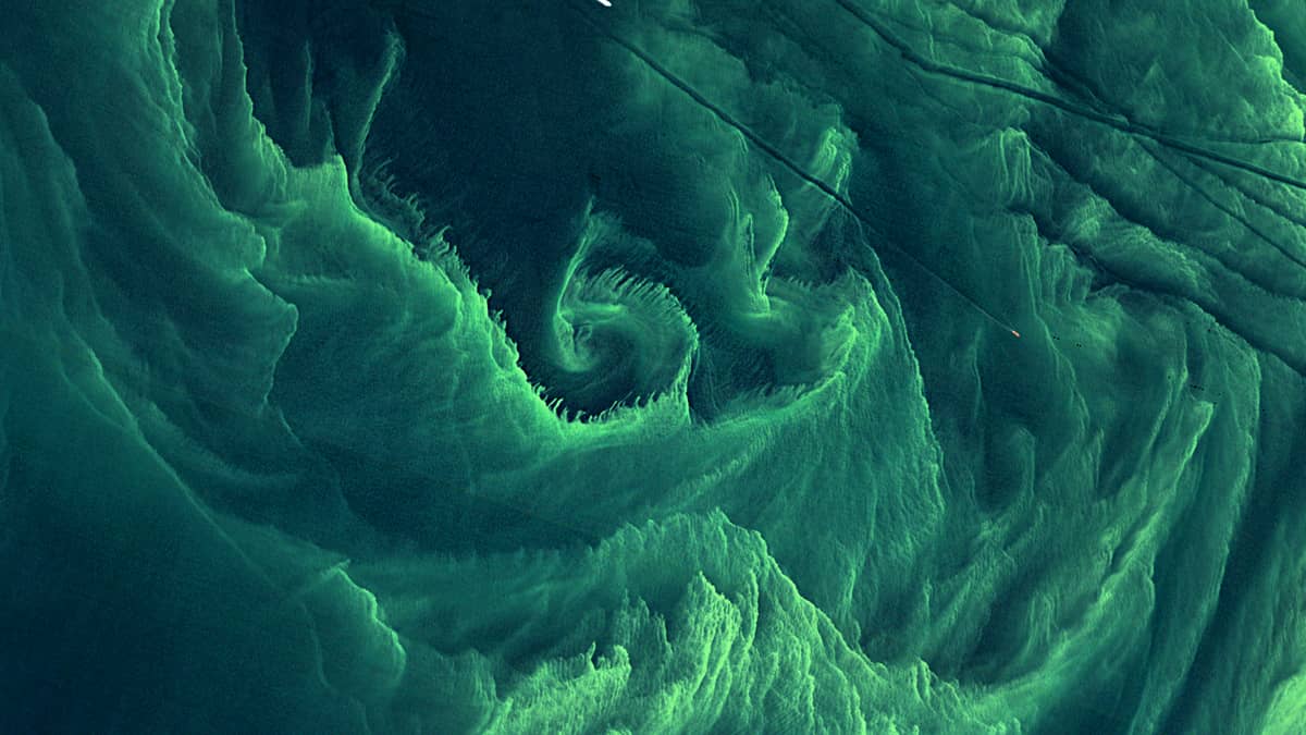 Algal bloom in the Baltic Sea