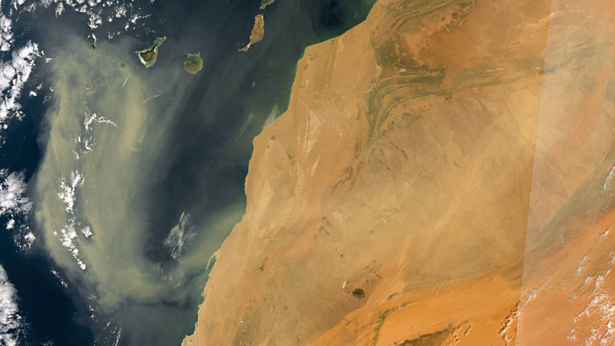 Dust Storm over the Canary Islands