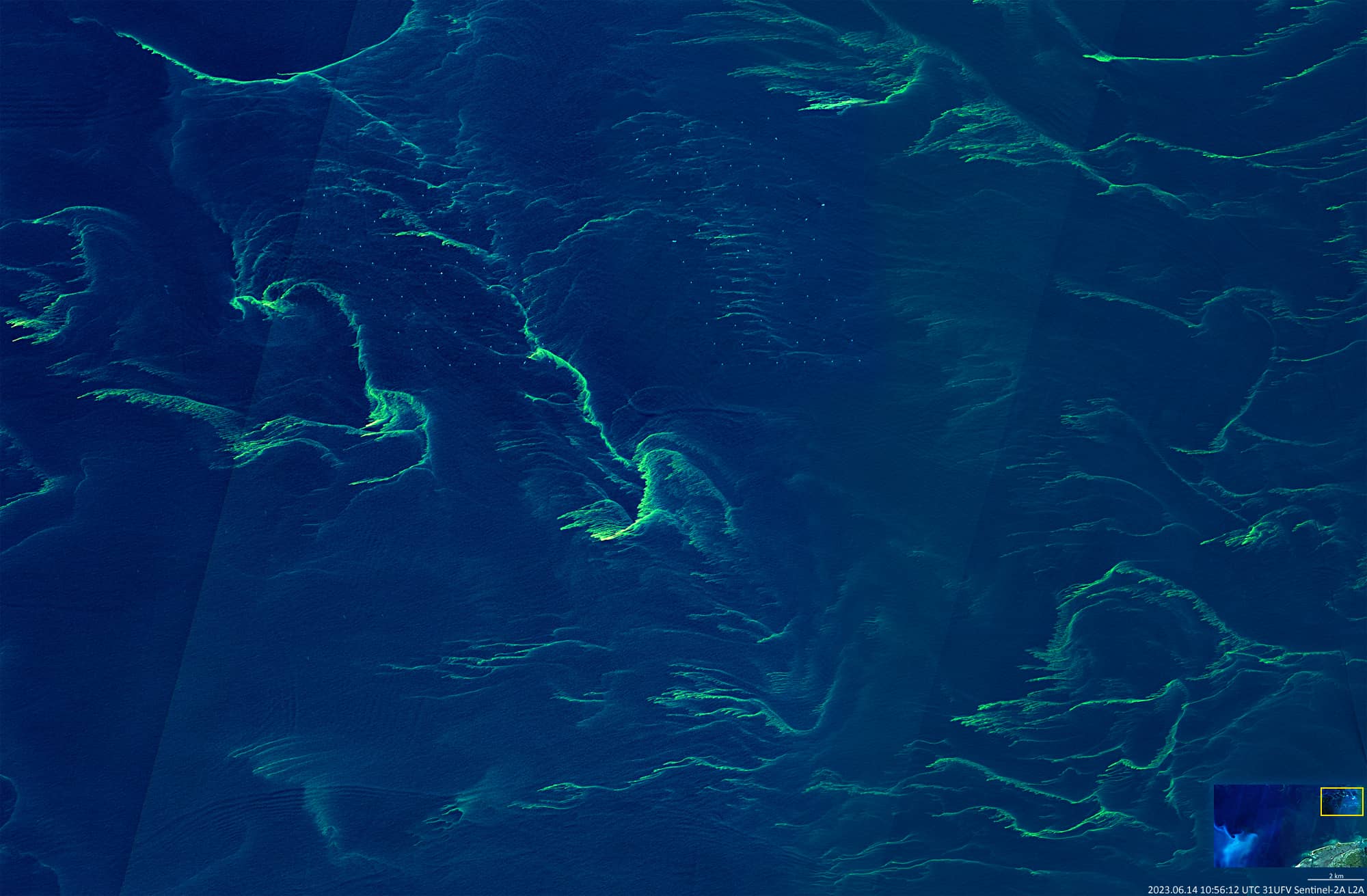 Algae bloom in the North Sea