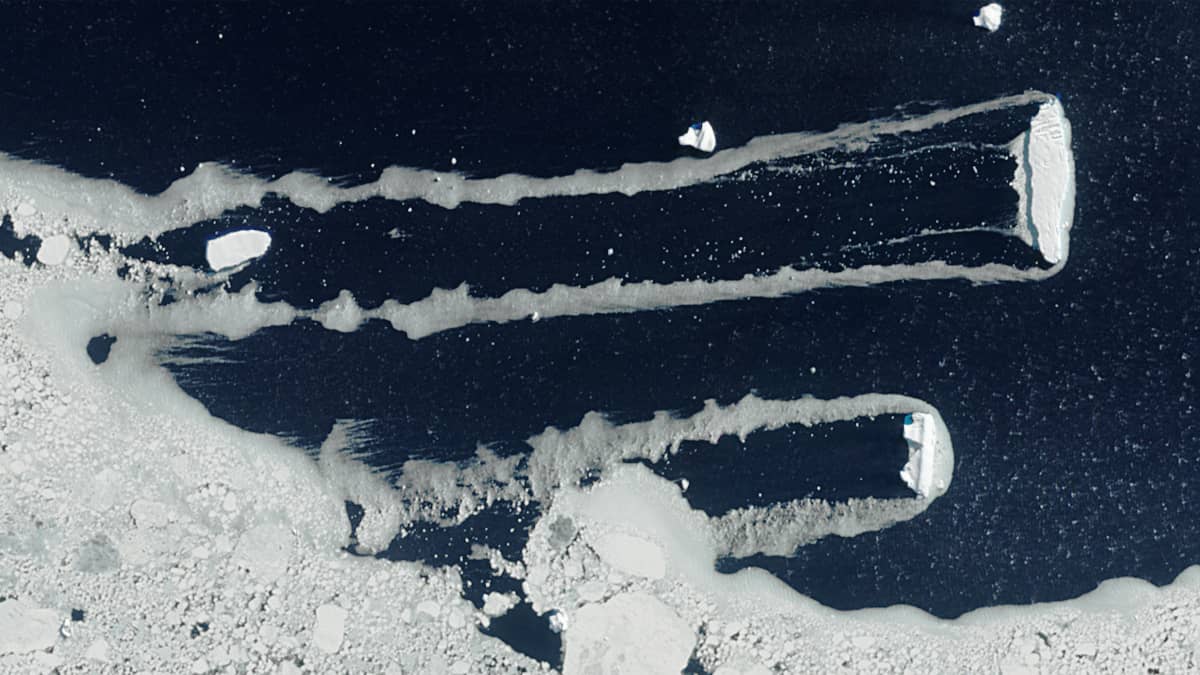 Sea ice in the Mikkelsen Bay