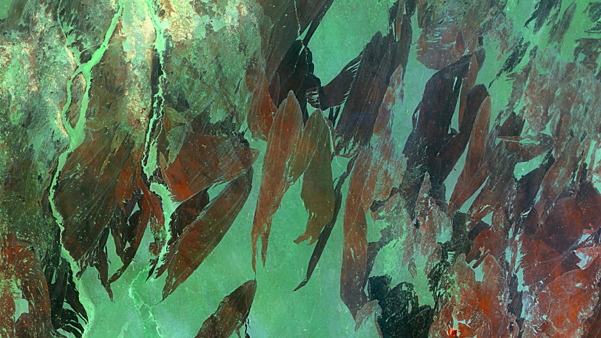 Winter in Jonglei Region of South Sudan