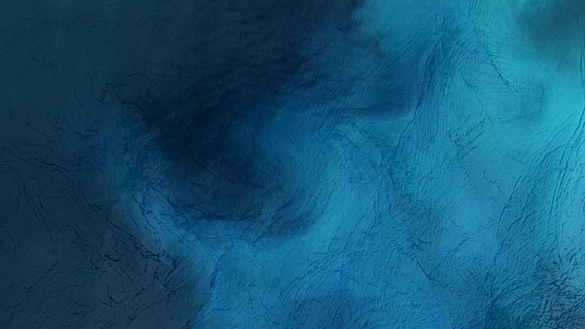 Algae bloom in the Mid-Atlantic Bight